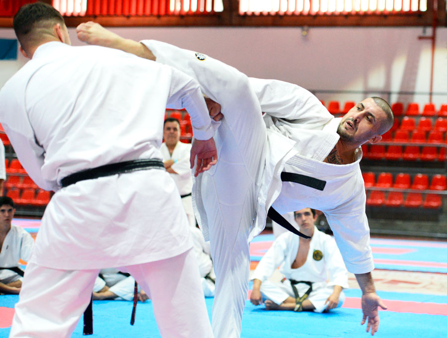 World karate legend preaches union of all countries and predicts major achievements for ITKF